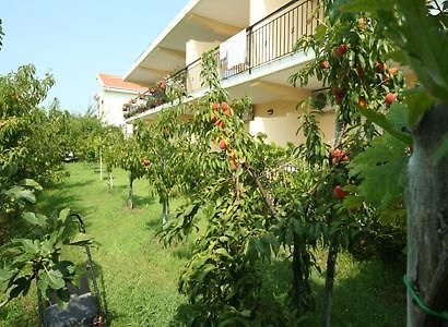 Bed And Breakfast Cirelli Scalea Eksteriør bilde