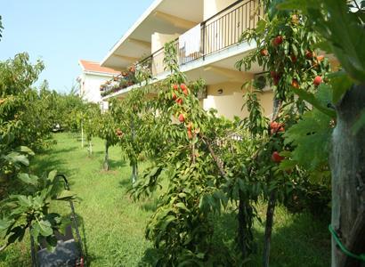 Bed And Breakfast Cirelli Scalea Eksteriør bilde