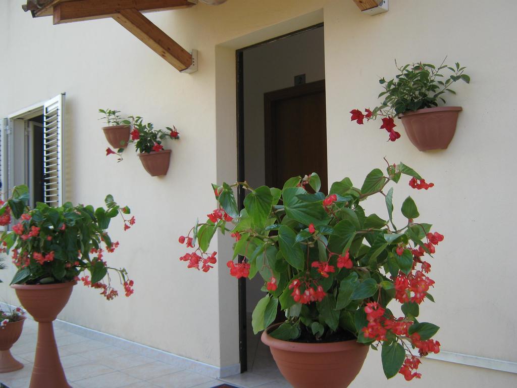 Bed And Breakfast Cirelli Scalea Eksteriør bilde
